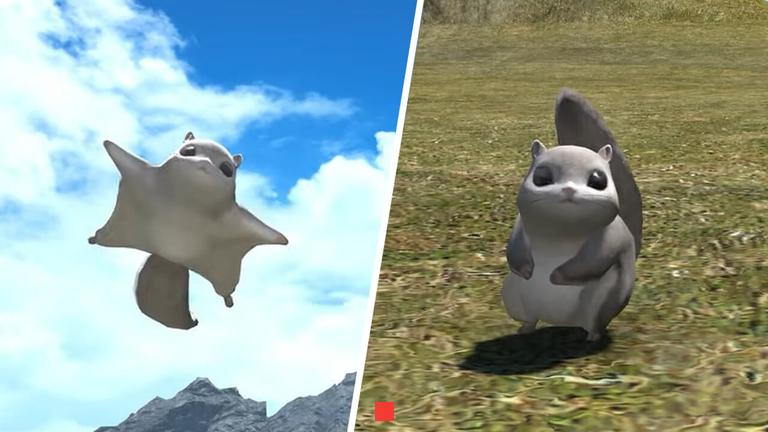 How to get the Black Kitten minion in Final Fantasy XIV Dawntrail