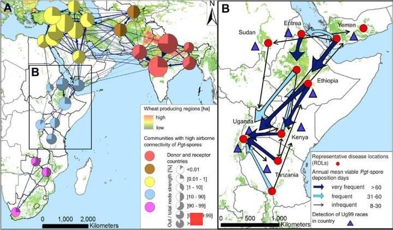 Researchers uncover concerning trend that could endanger entire communities: 'The global food supply could fail'